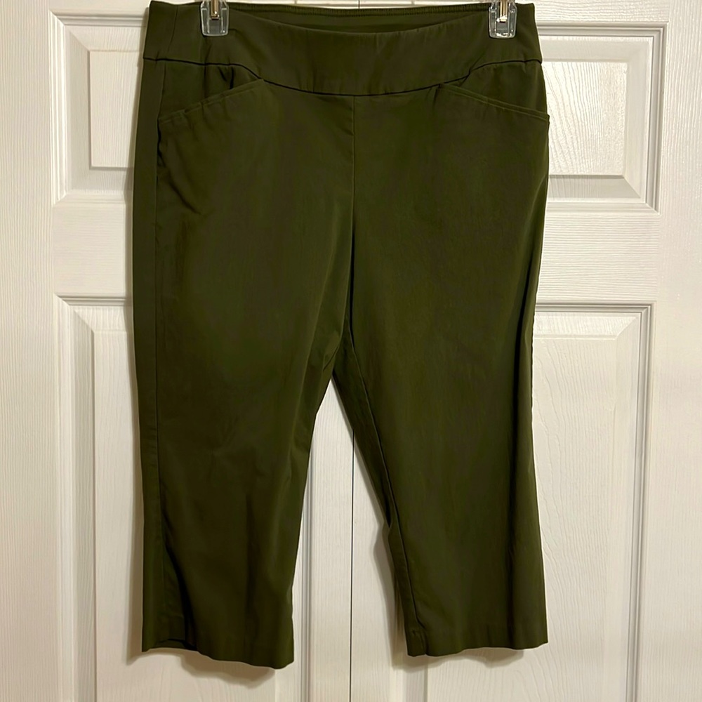 Christopher and Banks Crop Pants Size 12